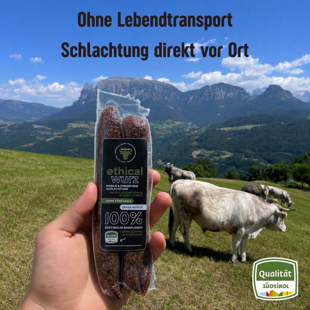 Kaminwurzen etiche – 2 pezzi della Macelleria Holzner
