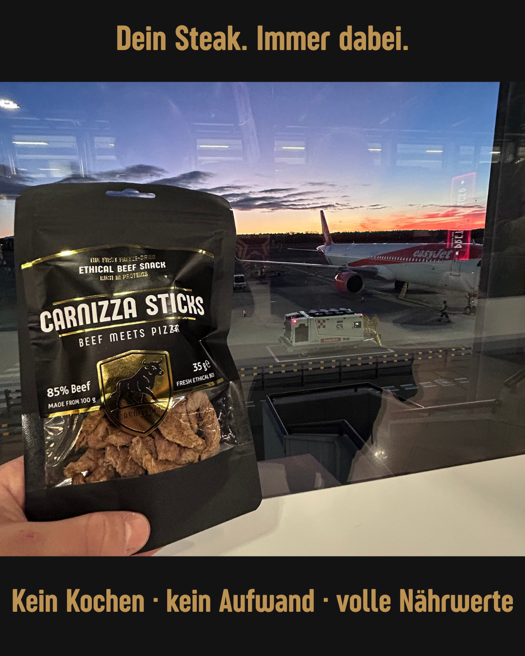 CARNIZZA STICKS – Pizza Flavor