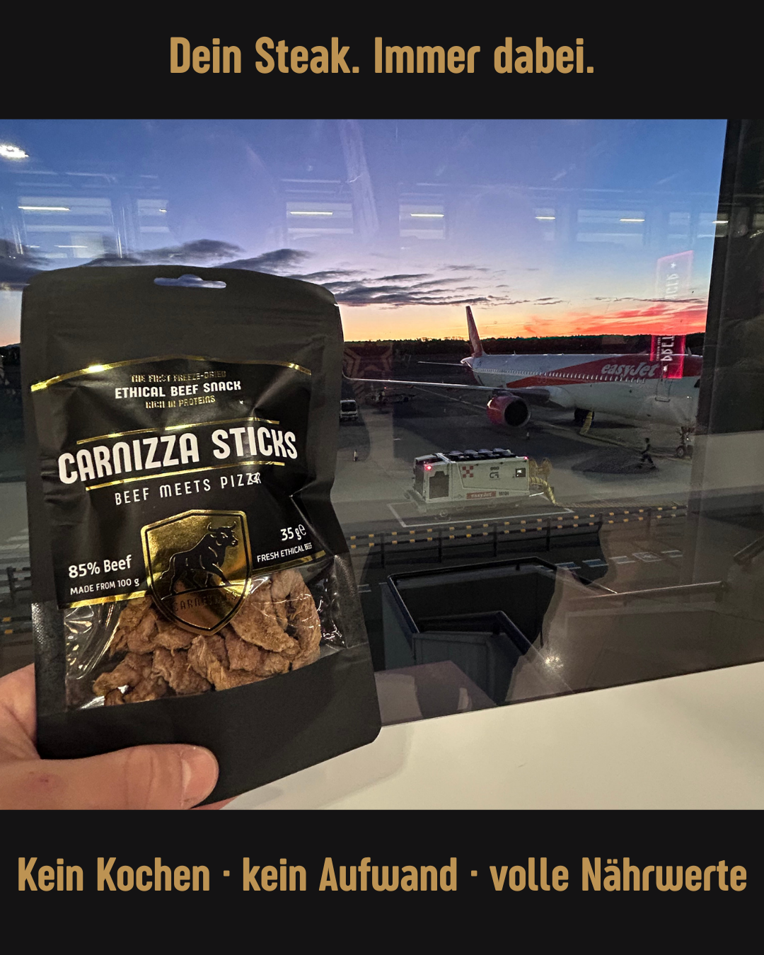 CARNIZZA STICKS – Pizza Flavor