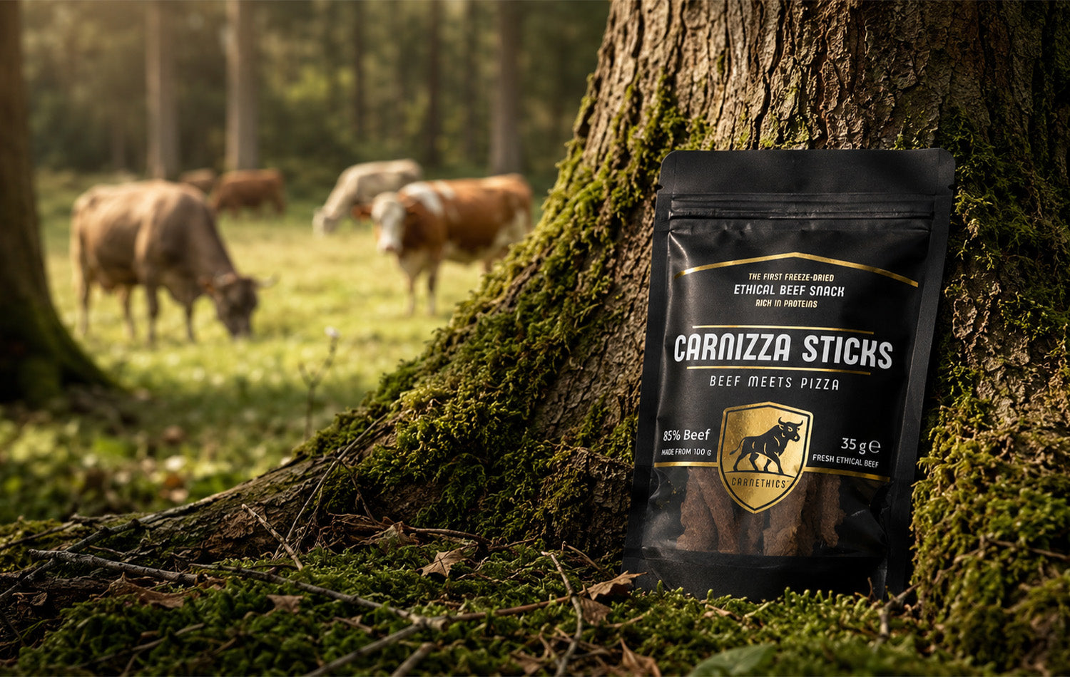 Protein Snacks
