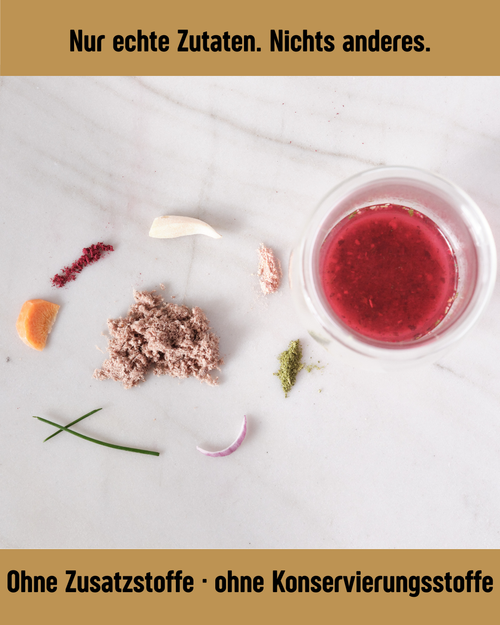 BEEF ESSENCE – Fleischsuppe